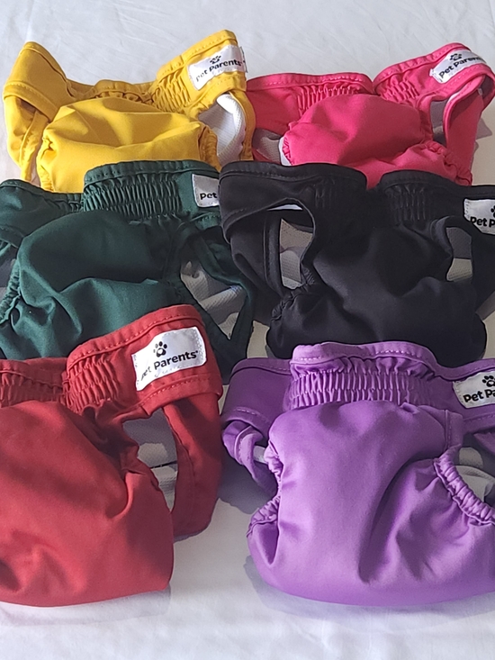 Pet Parent Other - Reusable Dog Diapers (6) Washed & Ready To Ship